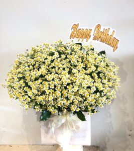 Giỏ hoa cúc tana
