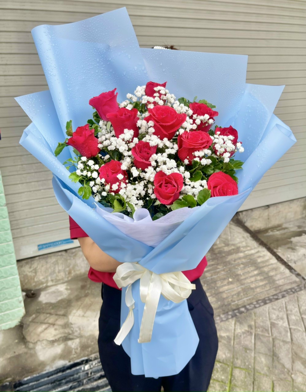 A367 - Hồng Đỏ & Bi A367 - Hồng Đỏ & Bi